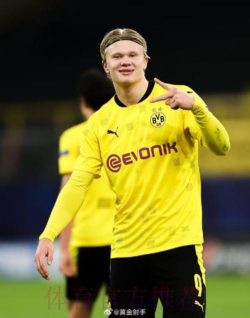 最新世界杯比利时哈兰德数据统计权威解读 最新世界杯比利时哈兰德数据统计权威解读